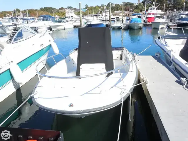 Boston Whaler 22 Dauntless