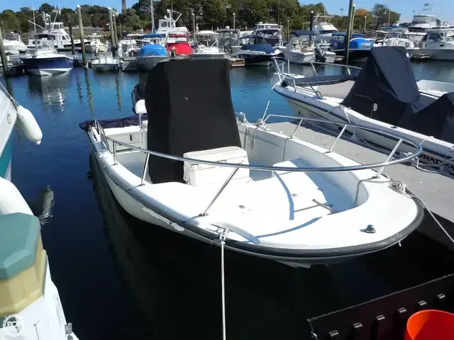 Boston Whaler 22 Dauntless