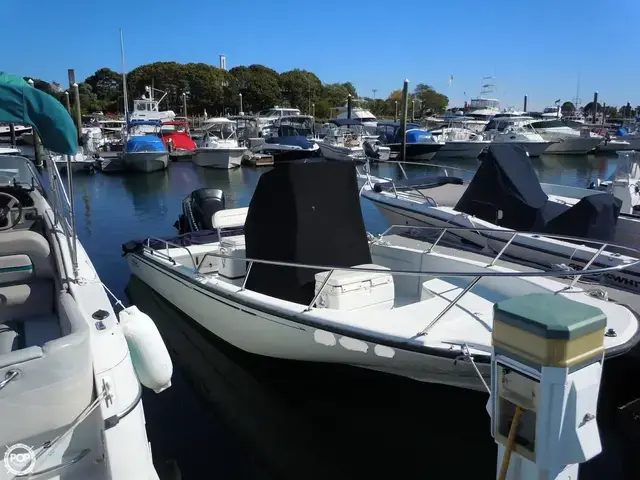 Boston Whaler 22 Dauntless