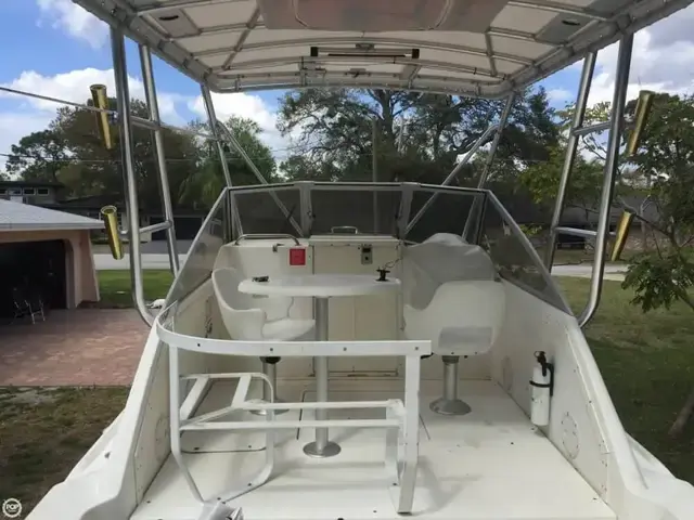 Shamrock EXPRESS 260