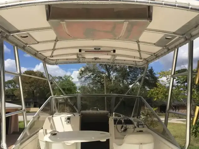 Shamrock EXPRESS 260