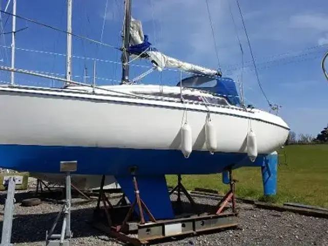 Colvic Salty Dog 27