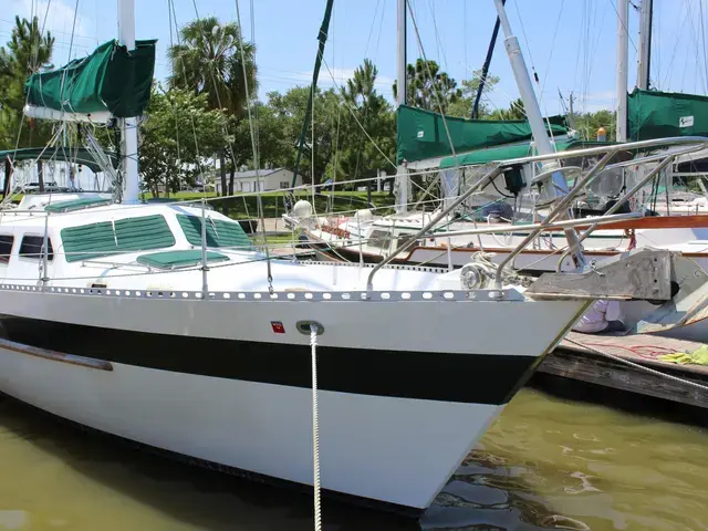 Hartmann-Palmer Seamaster 46 Pilothouse