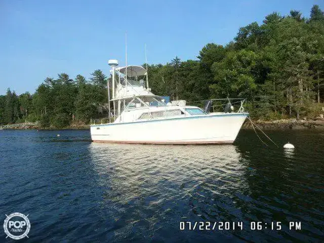 Hatteras 31 Flybridge Cruiser