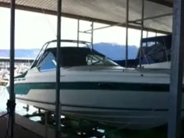 Sea Ray 310 SS