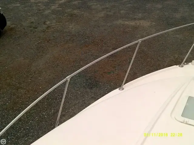 Bayliner 285 Ciera SB