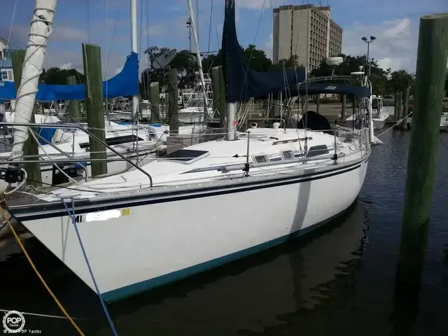 Hunter 31 Sloop