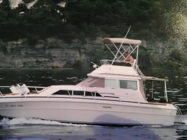 Sea Ray 300 Sedan Bridge