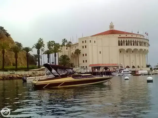 Ranger Boats Day Cruiser