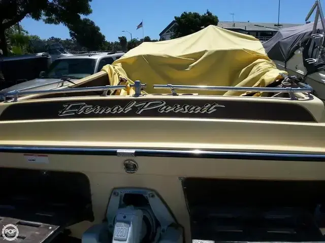 Ranger Boats Day Cruiser