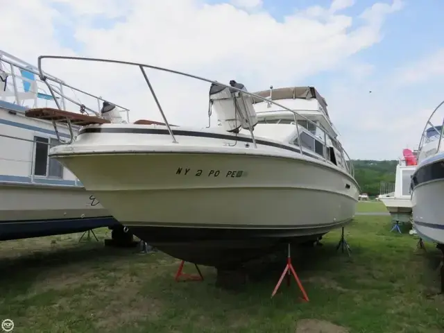 Sea Ray 300 Sedan Bridge