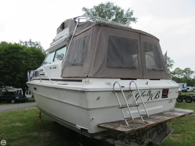 Sea Ray 300 Sedan Bridge