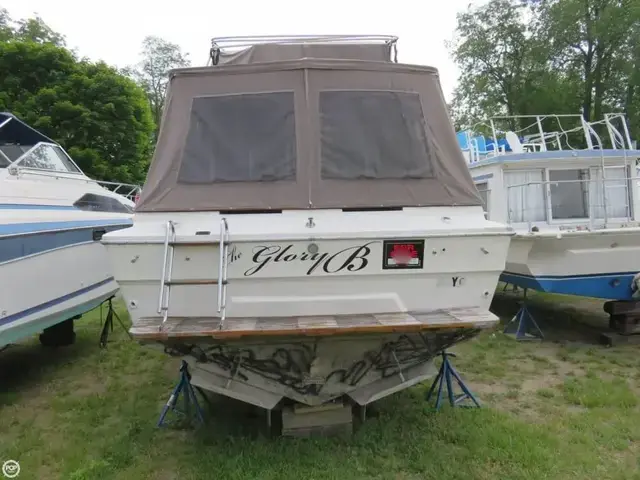 Sea Ray 300 Sedan Bridge