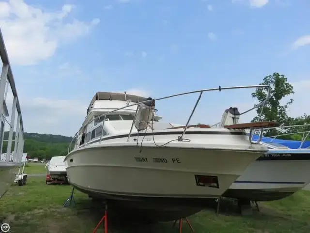 Sea Ray 300 Sedan Bridge