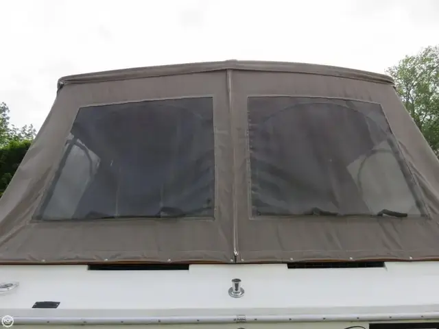 Sea Ray 300 Sedan Bridge