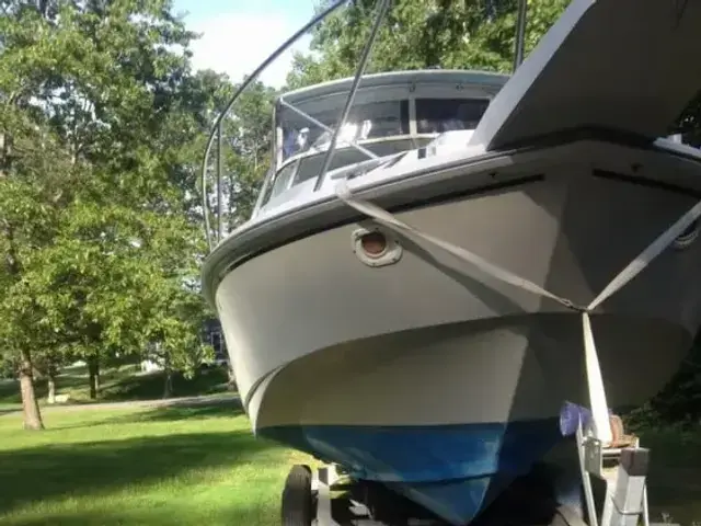 Boston Whaler 31