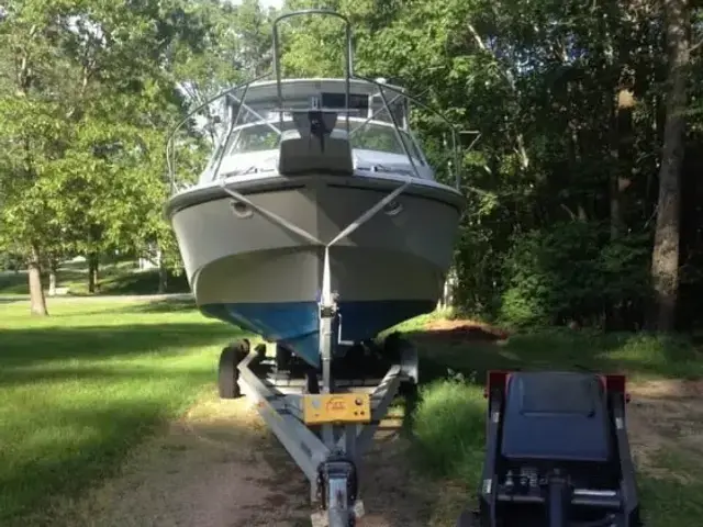 Boston Whaler 31