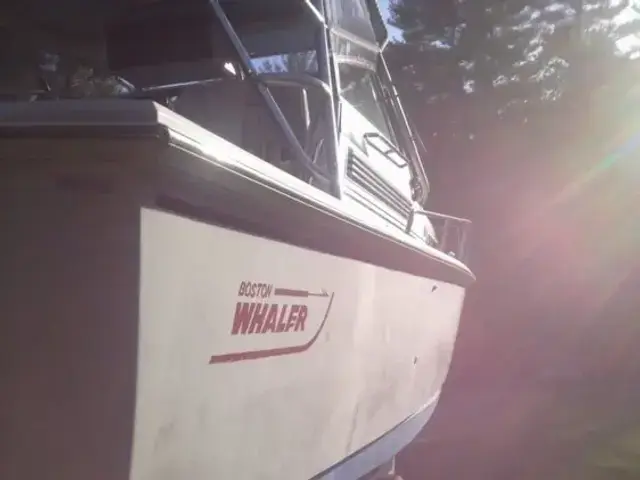 Boston Whaler 31