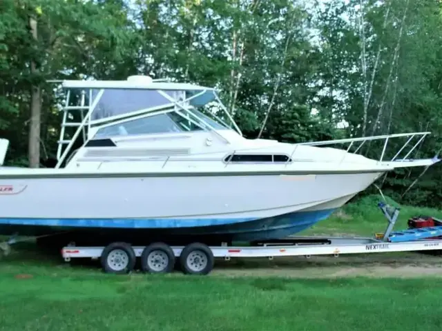 Boston Whaler 31