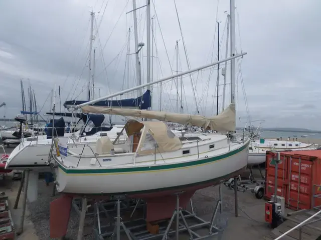 Nonsuch 26