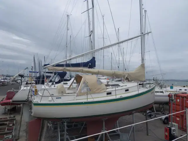 Nonsuch 26