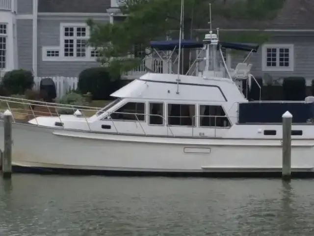 Island Gypsy 40