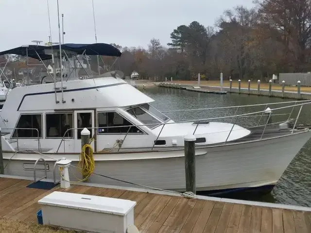 Island Gypsy 40