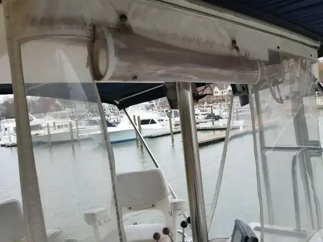 Island Gypsy 40