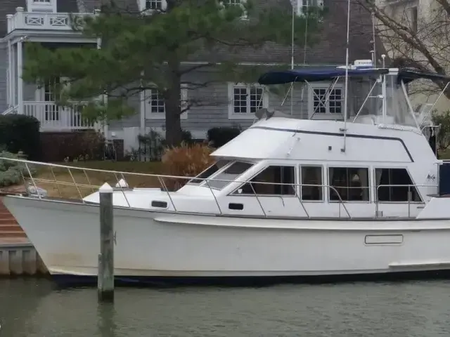 Island Gypsy 40