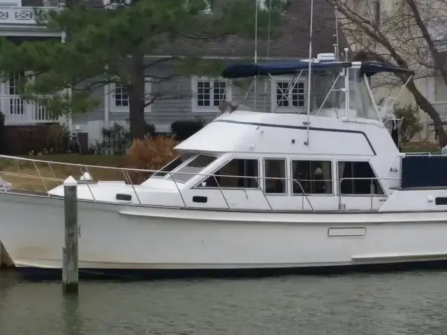 Island Gypsy 40