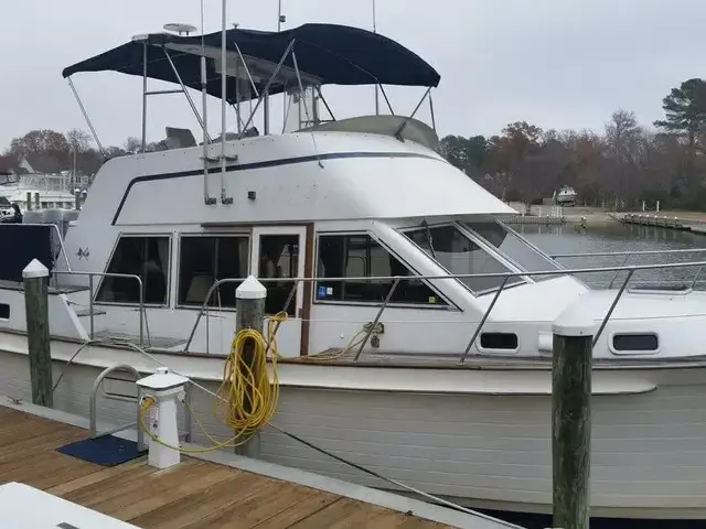 Island Gypsy 40