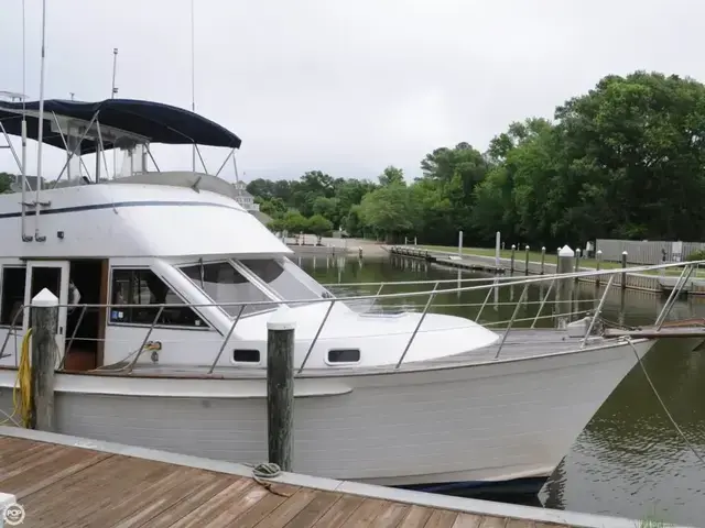 Island Gypsy 40