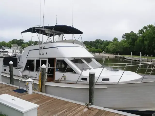 Island Gypsy 40