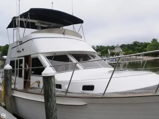 Island Gypsy 40