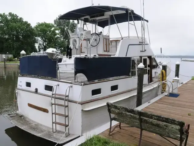 Island Gypsy 40