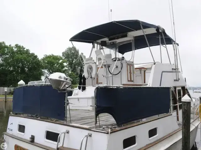 Island Gypsy 40