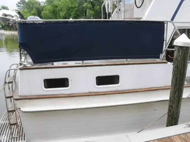 Island Gypsy 40