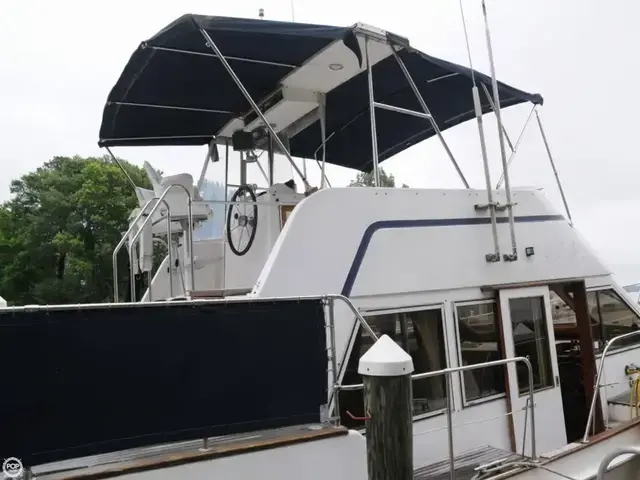 Island Gypsy 40