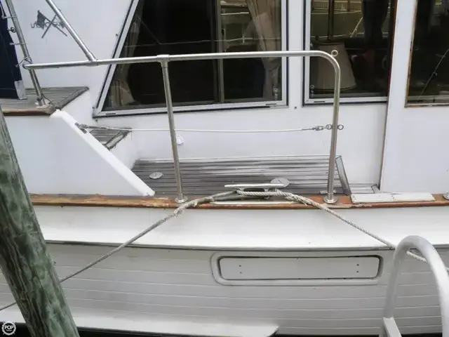 Island Gypsy 40