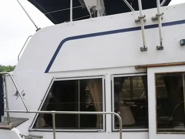 Island Gypsy 40