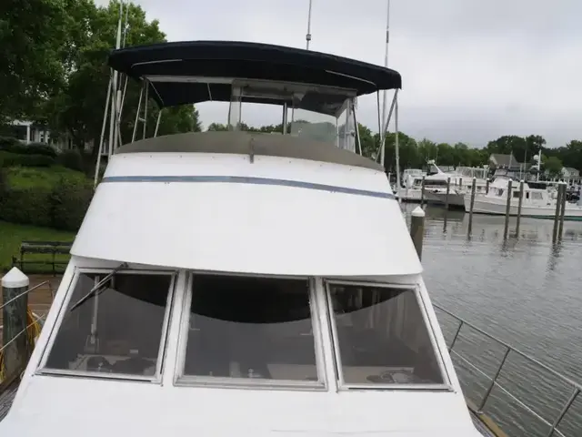 Island Gypsy 40