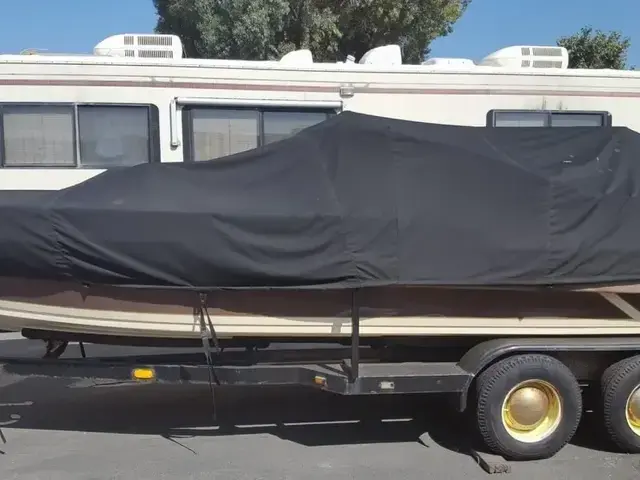 Ranger Boats Day Cruiser