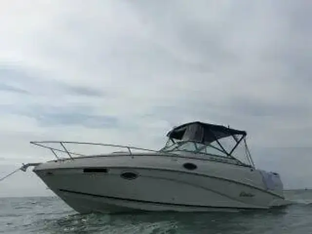 Rinker Fiesta Vee 250