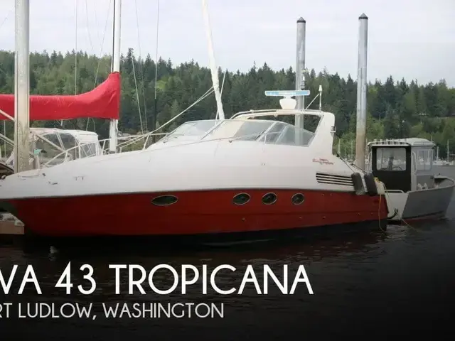 Riva 43 Tropicana