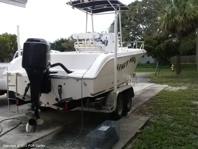 Sea Fox 23 Center Console