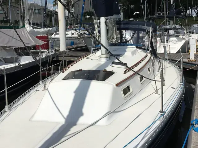 Islander 36 Sloop