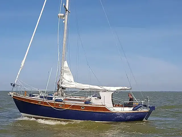 Curlew 32