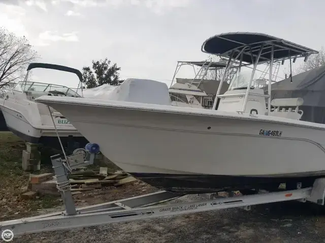 Sea Fox 236 Center Console