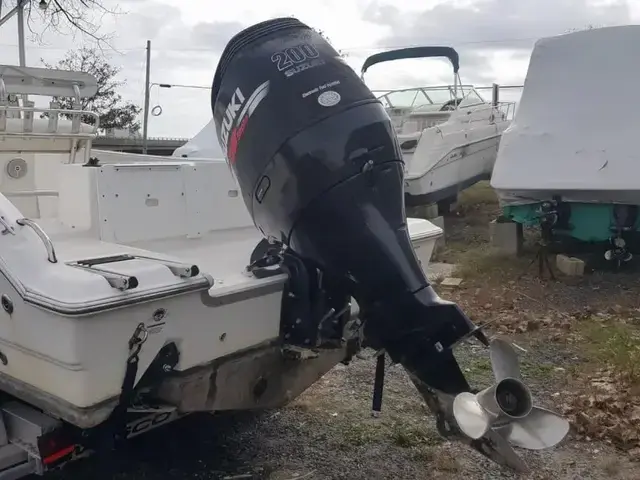 Sea Fox 236 Center Console