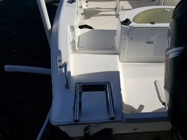 Sea Fox 236 Center Console